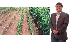 Luis HerreraEstrella Langebio Spanish Part 1 Plant nutrition and sustainable agriculture [upl. by Nnauol309]