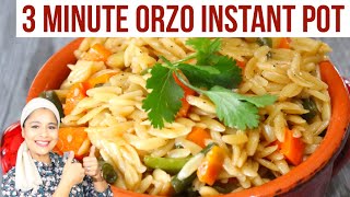 Super Easy 3 Minute Instant Pot Asian Style Orzo  Dump amp Go Pasta Recipe [upl. by Albion384]