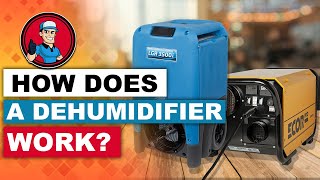 How Does A Dehumidifier Work 🌬️ Beginners Guide  HVAC Training 101 [upl. by Lleryt]