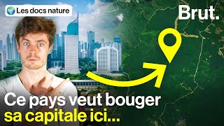 Une capitale futuriste géante… en pleine forêt [upl. by Denbrook]