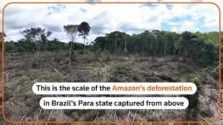 Drone footage shows deforestation in Brazilian Amazon [upl. by Andersen849]