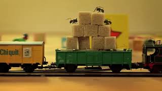 Ameisen Kurz Film Ant on a Train antkeeping ants shortmovie train spider sugar [upl. by Dennison]