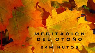 🌸MEDITACIÓN DEL OTOÑO🌸 24 MINS [upl. by Rupert]