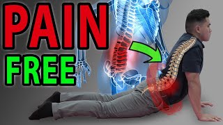 6 Absolute Best Exercises for Low Back Pain  SIJ  Facet Syndrome Mobilisation  Lumbar Pain [upl. by Liba966]