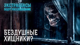 Не для слабонервных самые ужасающие душегубства – Экстрасенсы ведут расследование [upl. by Claudian]