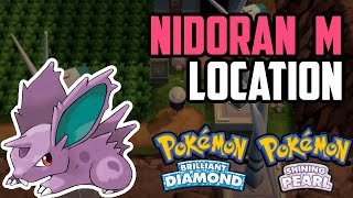 How to Catch Nidoran♂  Pokémon Brilliant Diamond amp Shining Pearl [upl. by Nananne]