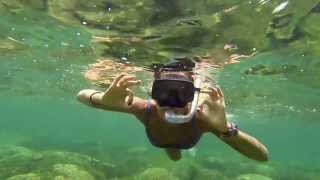 Snorkeling Boa Vista Boavistadiving [upl. by Origra398]