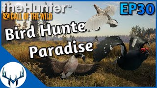 Fresh Start Ep30  theHunter Call of the Wild [upl. by Irakab]