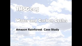 Water and Carbon Cycles  Amazon Case Study [upl. by Ubana796]