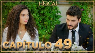 Hercai  Capítulo 49 [upl. by Julio]