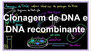 Clonagem de DNA e DNA recombinante [upl. by Friedland]