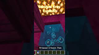 SURVIVAL XRAY shorts minecraft itsmejames minecraftglitches minecraftshorts fyp [upl. by Adnolahs]