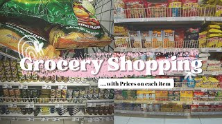 2nd Grocery Shopping Vlog in the Philippines with Prices DINK couple’s grocery [upl. by Caterina122]