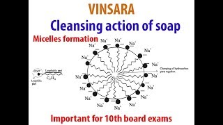 10TH ch4 topic cleansing action of soap Micelle formation [upl. by Nichy]