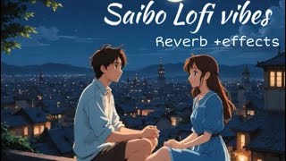 Saibo  Song by Sachin–Jigar Shreya Ghoshal and Tochi Raina  Lofi song 2024 [upl. by Hervey]