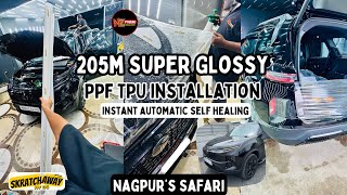 Safari Dark Edition  205m Super Glossy Skratchaway PPF TPU Advanced  Instant auto healing Nagpur [upl. by Salvadore]