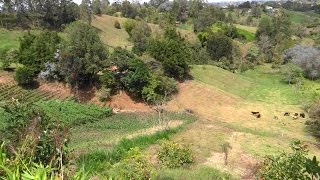 Finca en venta Rionegro Mampuesto carmin [upl. by Carena]