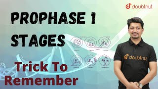 Trick To Remember Prophase 1 Stages  Biology  oneminuterevision  short youtubeshorts [upl. by Annadiana]