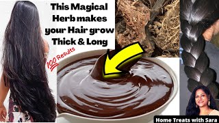 Magical Hair Growth Pack  How to Grow Long and Thick Hair Naturally amp Faster  Herbal Hair pack🌿 [upl. by Yeknarf529]