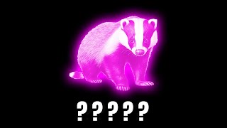 15 Badger Noises Sound Variations in 55 Seconds  MODIFY EVERYTHING [upl. by Anirok420]