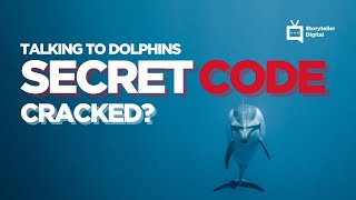 Can Dolphins READ YOUR MIND  Talking Dolphins with Scott Taylor Animal Superpowers [upl. by Atinnod]