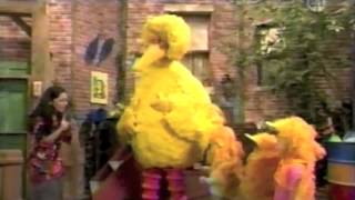 Sesame Street  Leelas Sesame Street video [upl. by Neffets238]