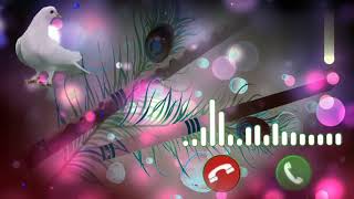 Ringtone Flute Ringtone FDMRParty 212022 [upl. by Nnairet]