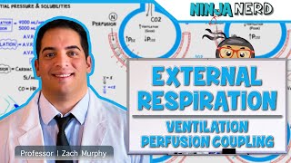 Respiratory  External Respiration Ventilation Perfusion Coupling [upl. by Ecirb399]