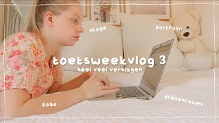 heel veel verslagen schrijven  toetsweekvlog 3 [upl. by Akirdnwahs]