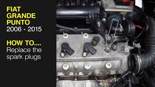 How to replace the spark plugs on the Fiat Grande Punto 2006 to 2015 [upl. by Nosilla486]