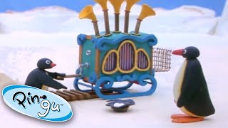 Pingu and the Barrel Organ 📣  Pingu Official  Cartoons for Kids [upl. by Anom]