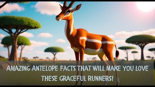 How Fast Can Antelopes Run Discover 10 Fun Facts [upl. by Normak]