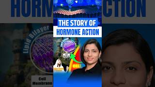 The Story of Hormone Action  NEET Concept neetbiology neet2025 neet2024 neet riturattewal [upl. by Ahtnams]