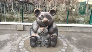 Großer Panda Bär Statue Tiergarten Zoo Schönbrunn I Der schönste Bär der Welt I Giant Bear Meuyùng [upl. by Mungo556]