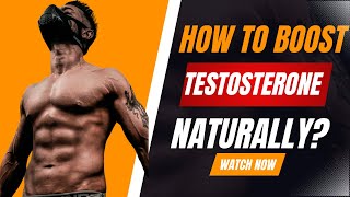 How To Boost Testone Naturally  Hindi  Ani Ray [upl. by Bonnette]