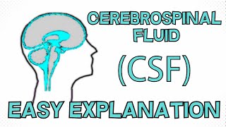 Cerebrospinal Fluid CSF explained in 3 Minutes  Function Composition Circulation [upl. by Aicatsal]