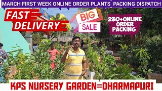 RARE PLANTS ONLINE SALES PACKING DISPATCH 230 ORDERS  KPS NURSERY GARDEN best plants [upl. by Gnav]