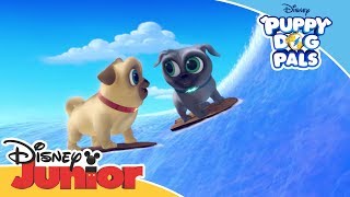 Magical Moment Hawaii Adventure 🌊  Puppy Dog Pals 🐶  Disney Junior Arabia [upl. by Atterrol]