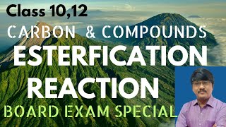 Esterification Reaction Class 10 amp 12 physicsconceptsbyalisir [upl. by Luisa486]