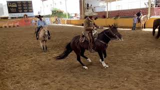 CG NILVIO MEJOR CABALLO MEXICANO DE CALA 2020 MONTADO POR DON LORENZO RIOS [upl. by Ezar106]