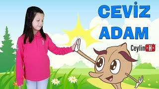 CeylinH  CEVİZ ADAM Çocuk Şarkısı Animasyon Nursery Rhymes amp Super Simple Kids Songs Sing Dance [upl. by Sig834]