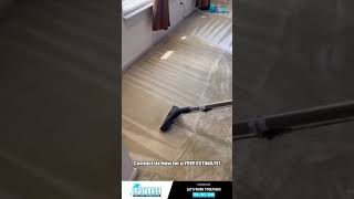 Carpet Cleaning at you Service shorts carpetcleaningservice [upl. by Irual]