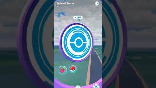 SHINY MEDITITE POKEMON GO DAILY INCENSE pokemon shinypokemon pokemongo pokemongame shiny [upl. by Evonne684]