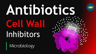 Antibiotics  Cell Wall Inhibitors  Microbiology  Basic Science Series [upl. by Neely808]