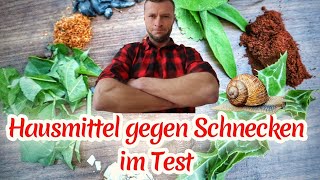 7 Hausmittel gegen Schnecken im Test🐌 [upl. by Rotciv]