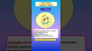 F4 C6 MITOSIS PROPHASE ANIMATION  SHORTS SPM KSSM  Biology Education Science [upl. by Acceb210]