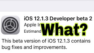 IOS 1213 BETA 2 WHAT [upl. by Thesda]