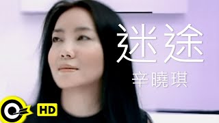 辛曉琪 Winnie Hsin【迷途】Official Music Video [upl. by Gal645]