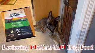 🇨🇦 ACANA 🇨🇦 Canadian Made Dry Dog Food Review [upl. by Claiborn]