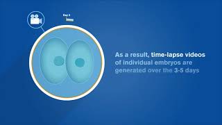 EmbryoScope® How Timelapse Works [upl. by Liddy971]